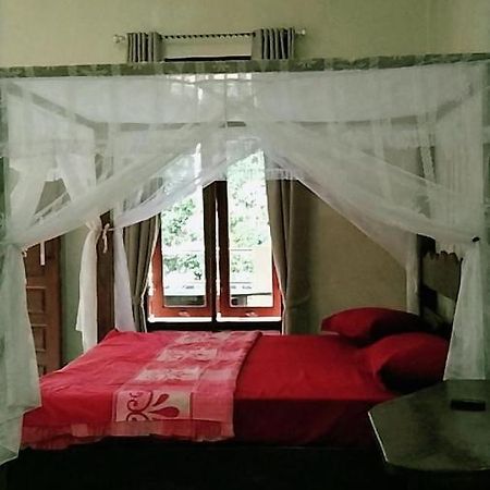 Raja Guest House - Jungle Trekking & Tours Bukit Lawang Sumatra Luaran gambar