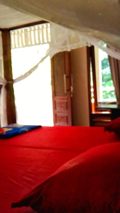 Raja Guest House - Jungle Trekking & Tours Bukit Lawang Sumatra Luaran gambar
